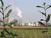Air pollution could increase risk of premature death Air pollution could increase risk of premature death