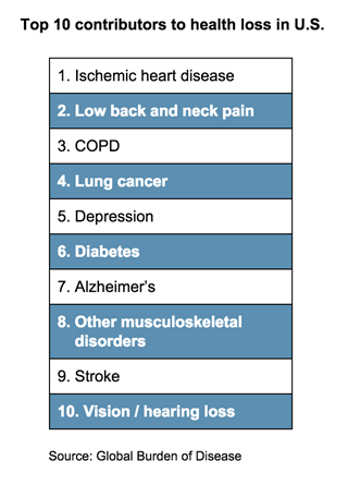 Top 10 contributors to health loss Top 10 contributors to health loss