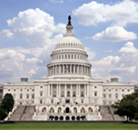 The U.S. Capitol The U.S. Capitol