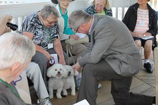 Blessing of the pets Blessing of the pets
