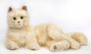 Hasbro's Joy for All Companion Pet Cat comes in three colors. Pictured is creamy white. Hasbro's Joy for All Companion Pet Cat comes in three colors. Pictured is creamy white.