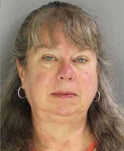 Jeanne Swain (Photo courtesy of the Delaware County Office of the District Attorney) Jeanne Swain (Photo courtesy of the Delaware County Office of the District Attorney)