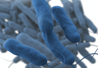 CDC: Manage water to help prevent Legionnaires' disease CDC: Manage water to help prevent Legionnaires' disease