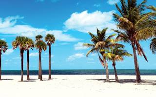 Warm winters, sandy beaches and sunshine make Florida an attractive destination. The Sunshine State recently passed New York in population. Warm winters, sandy beaches and sunshine make Florida an attractive destination. The Sunshine State recently passed New York in population.