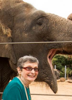 Brookdale Meridian Temple resident Jenny Bond makes friends with an elephant at the Houston Zoo. Brookdale Meridian Temple resident Jenny Bond makes friends with an elephant at the Houston Zoo.