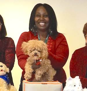 Bentley, a toy poodle owned by Activity Director Tracey Couliboly, won the Rockminster Dog Show. Bentley, a toy poodle owned by Activity Director Tracey Couliboly, won the Rockminster Dog Show.