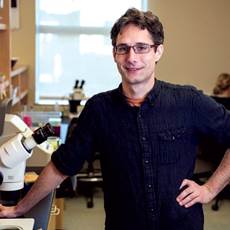 Jarod Rollins, Ph.D. Jarod Rollins, Ph.D.