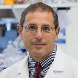 Domenico Praticò, M.D. (Photo: Lewis Katz School of Medicine at Temple University) Domenico Praticò, M.D. (Photo: Lewis Katz School of Medicine at Temple University)