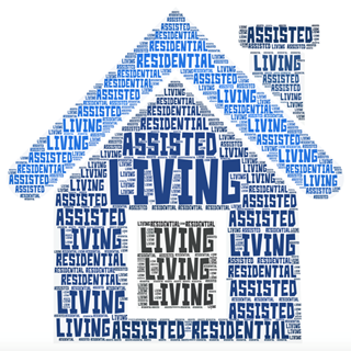 (McKnight's Senior Living word cloud) (McKnight's Senior Living word cloud)