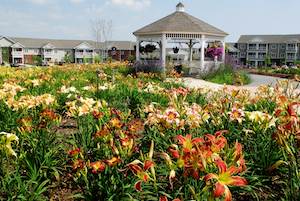 Although The Glebe's "30/40" initiative only is available in the skilled nursing portion of the CCRC for now, the community plans to expand it to assisted living and memory care. Although The Glebe's "30/40" initiative only is available in the skilled nursing portion of the CCRC for now, the community plans to expand it to assisted living and memory care.