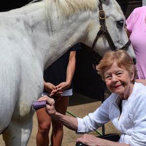 Trezevant Terrace residents enjoyed equine therapy and therapeutic horseback riding lessons. Trezevant Terrace residents enjoyed equine therapy and therapeutic horseback riding lessons.