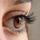 Protect vision to help protect cognition: study Protect vision to help protect cognition: study