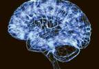 Providers to share dementia-care insights at new roundtable Providers to share dementia-care insights at new roundtable